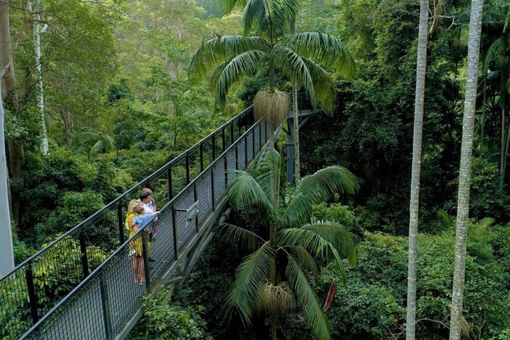 Day trip: Springbrook National Park