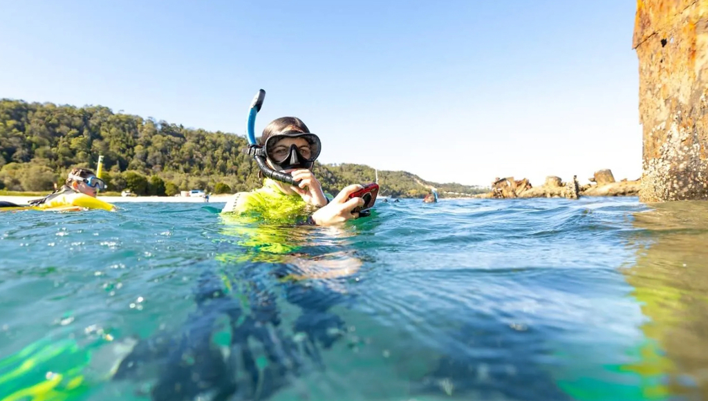 Day trip: snorkelling on Moreton Island