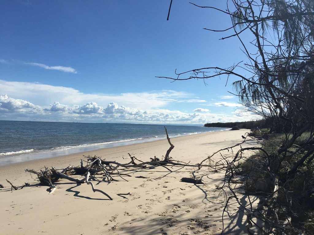 The beach at Bribie Island