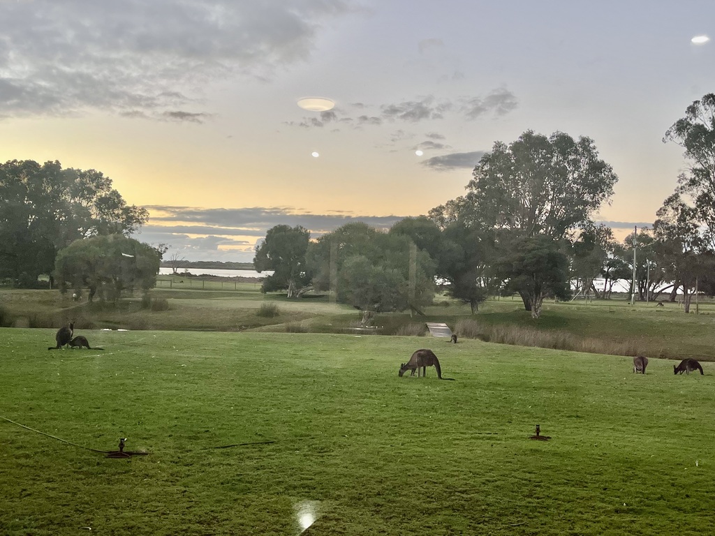 Just under 3 acres of land on the edge of the ludlow forest, abundant birdlife and kangaroos