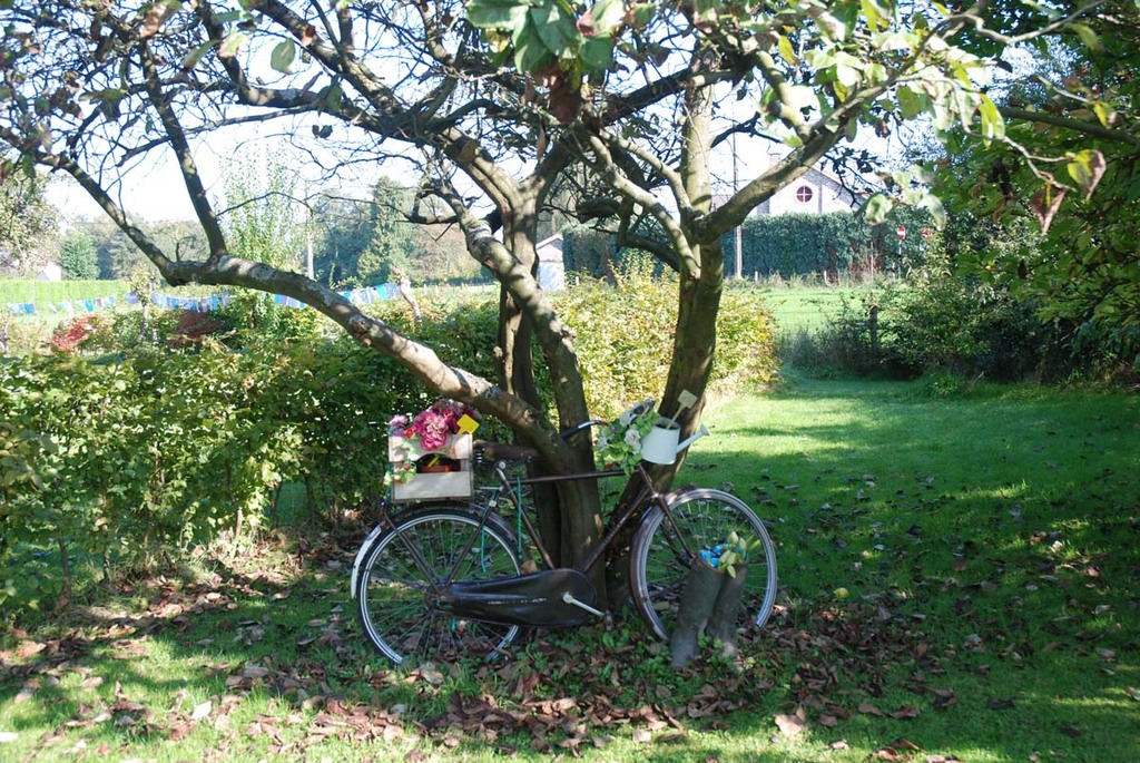 Garden bike