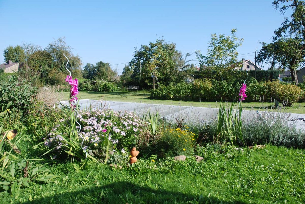 Swimming pool when covered
