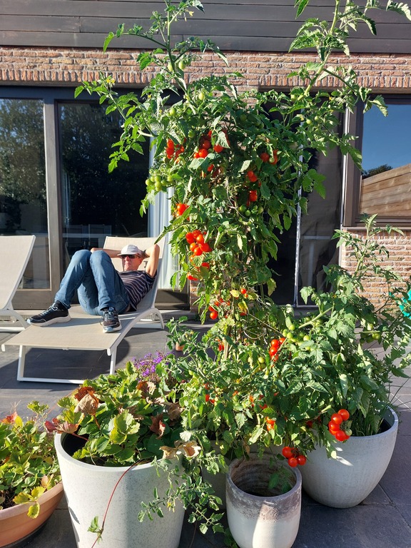 Relaxing on the terrace