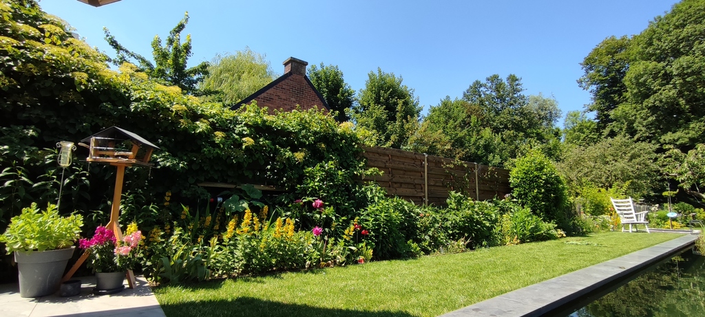 elk siezoen zie ik graag iets bloeien....