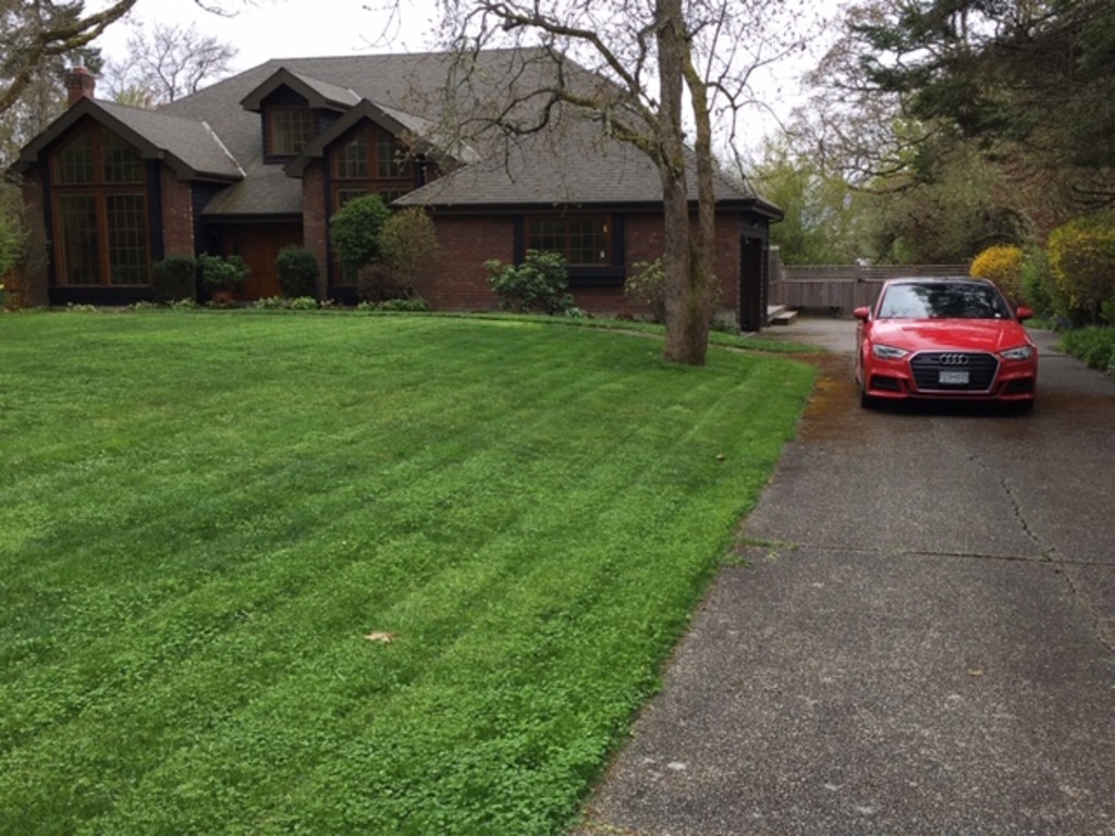 Front lawn facing road