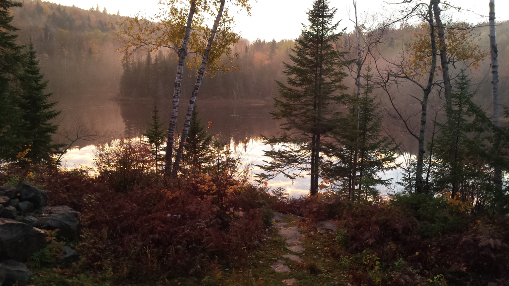 Notre petit lac sauvage.