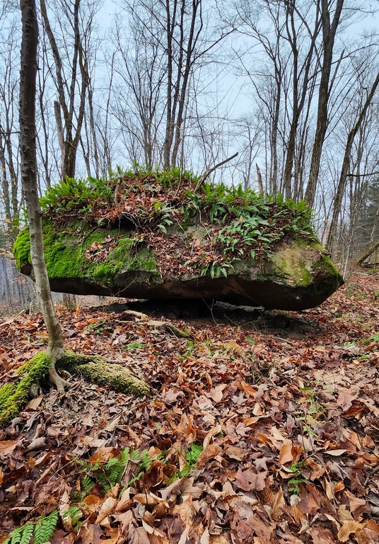 Guy, la roche. Sur le sentier.