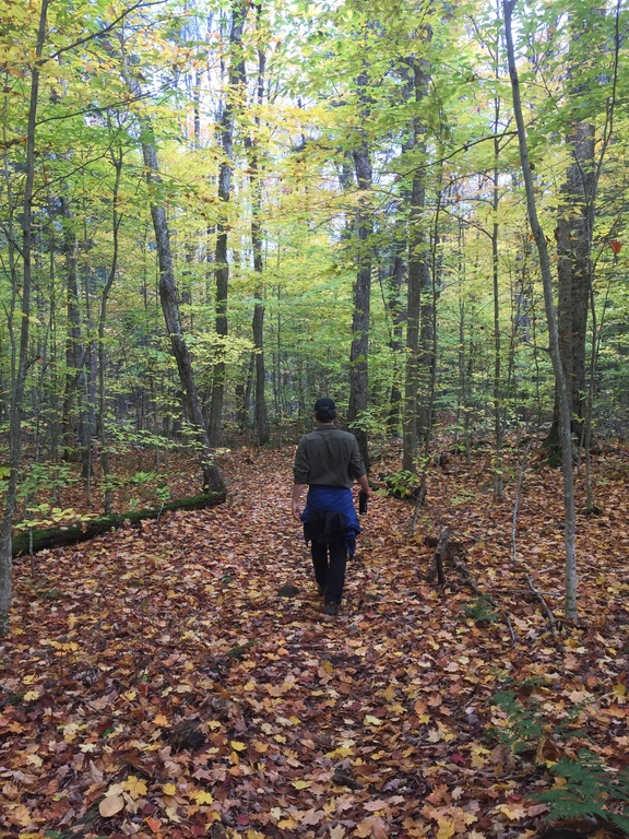 Hiking is one of our favourite pastimes 