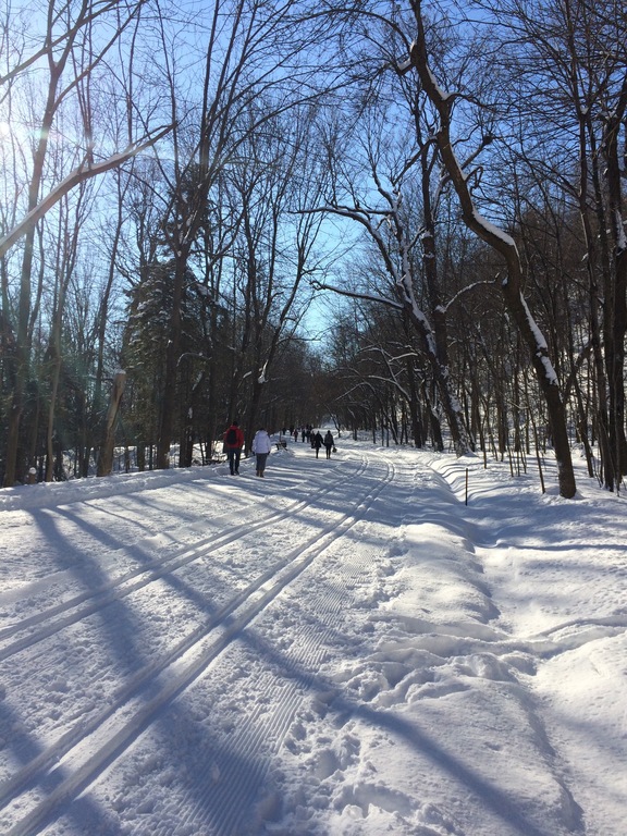 cross-country skiing on the Mont-royal / Ski de fond sur le Mont-royal 