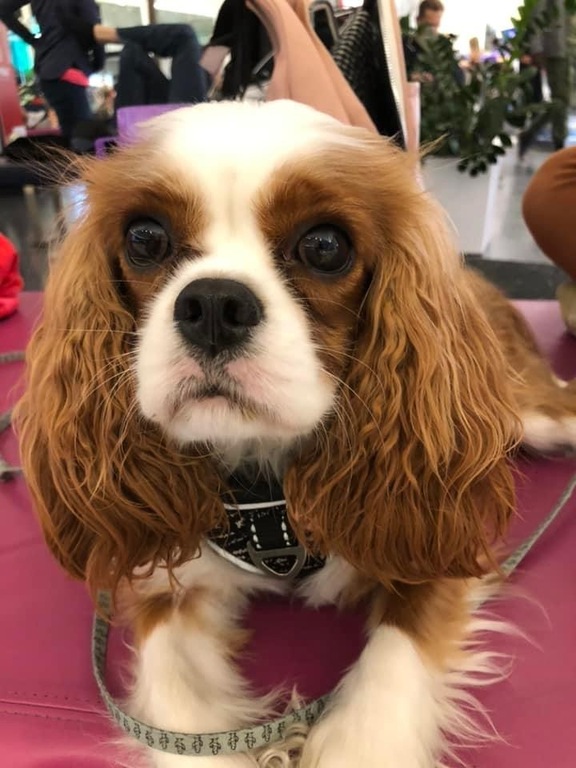 Aby, summer 2023, at an airport / Aby, été 2023, à l'aéroport