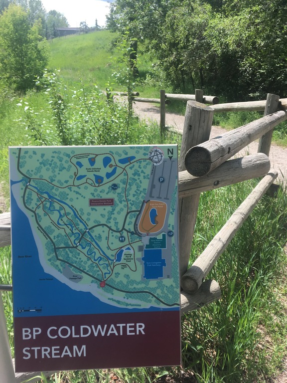 Example of Natural park in middle of city trail system.