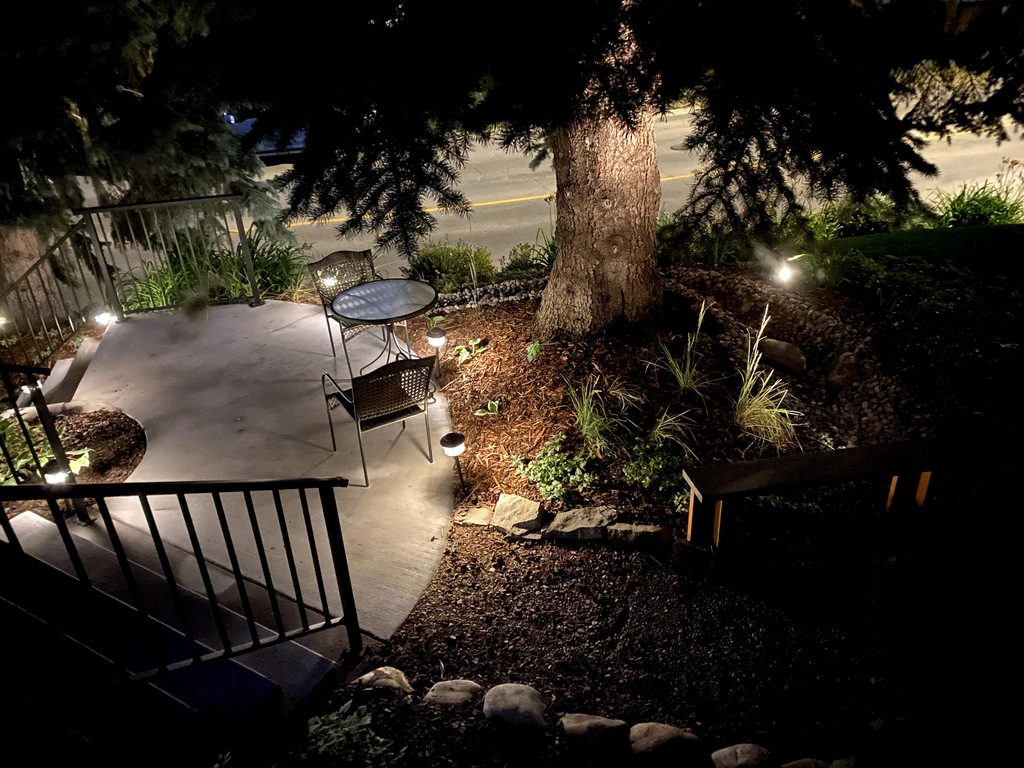 Front yard in the evening 