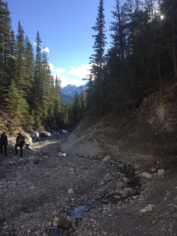 Hiking in Kanaskis county in mid October 2017. 1 hour drive from our home.