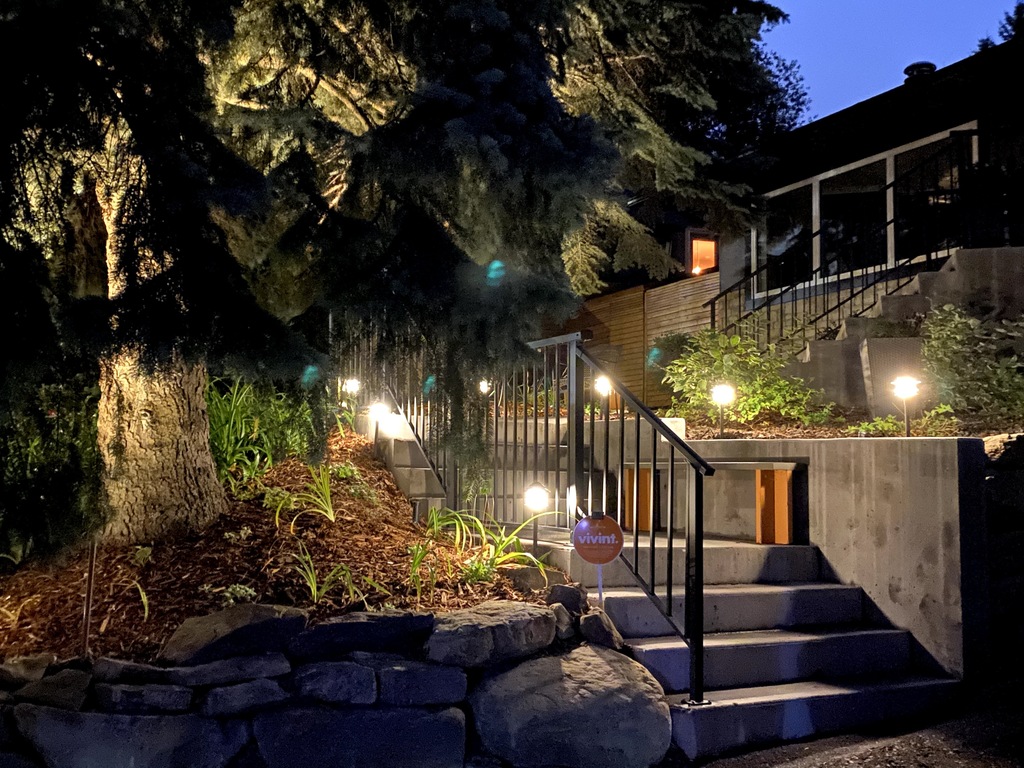 Front yard in the evening 