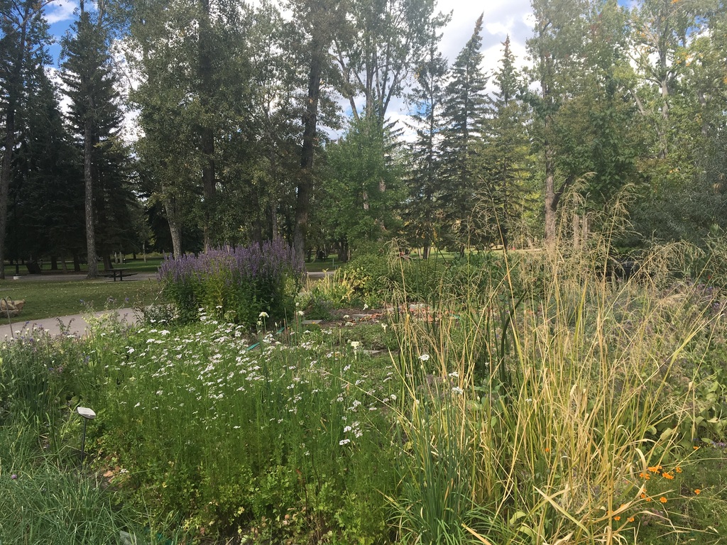 Prince's Island park