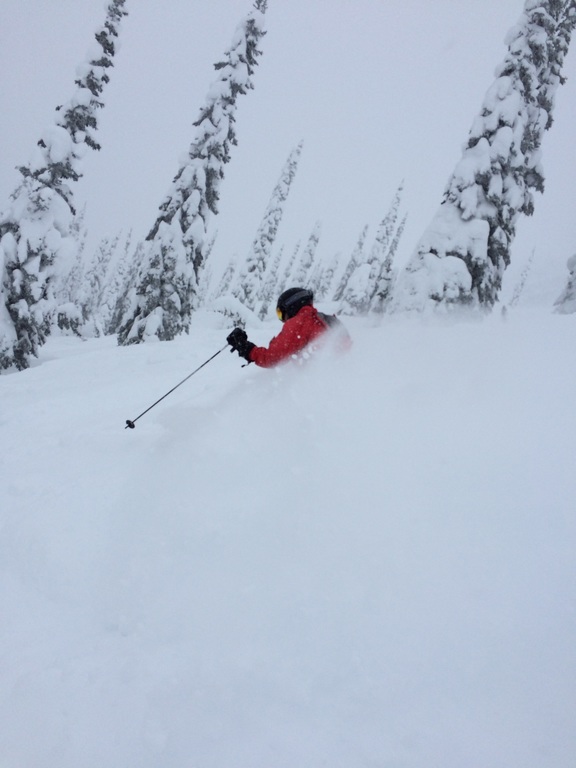 Canadian Rocky Mountain powder skiing