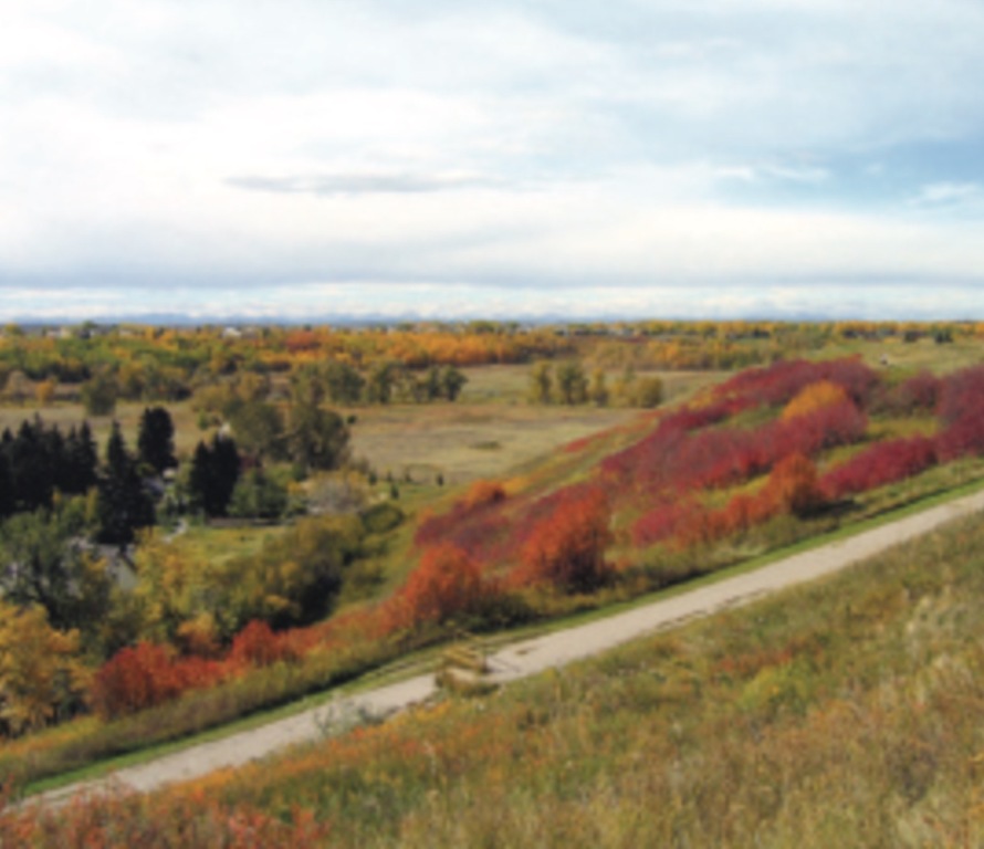Fish creek provincial park, in Calgary.  Bike path from our home to this park (it's a long bike ride!)