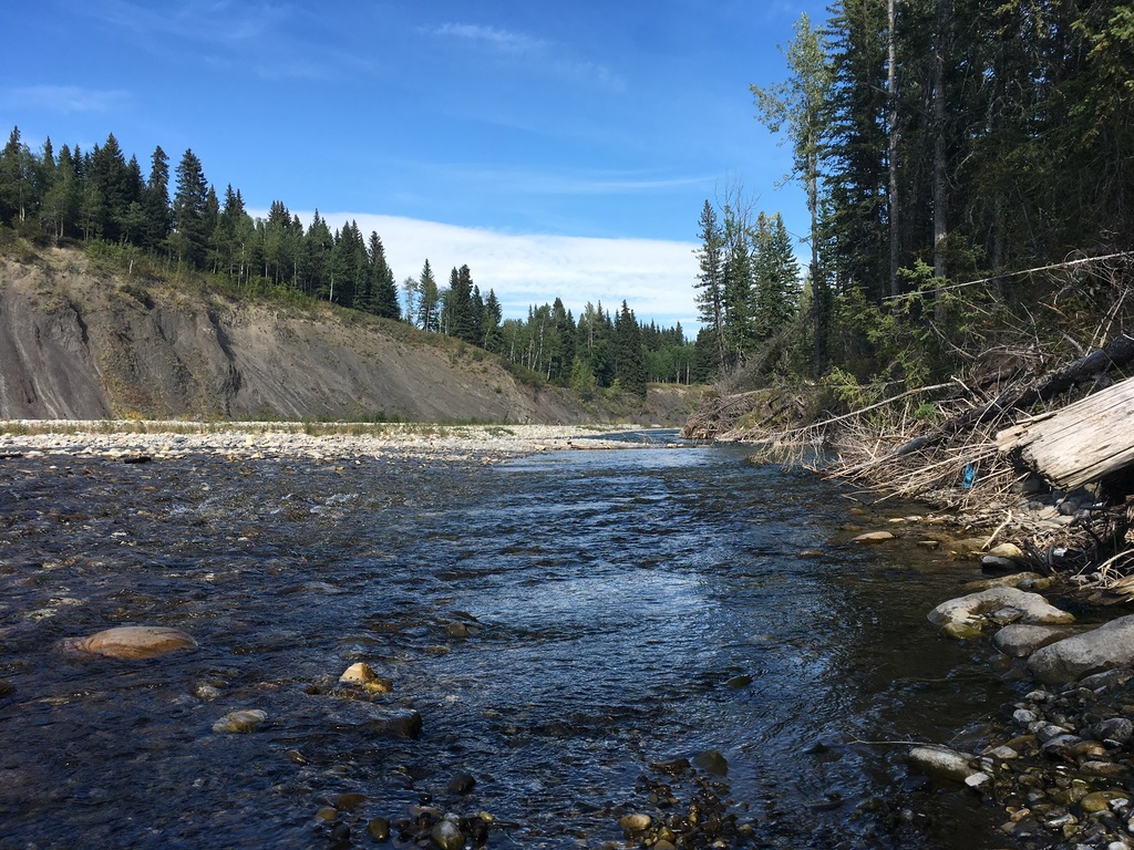 Elbow River in Bragg creek area.  