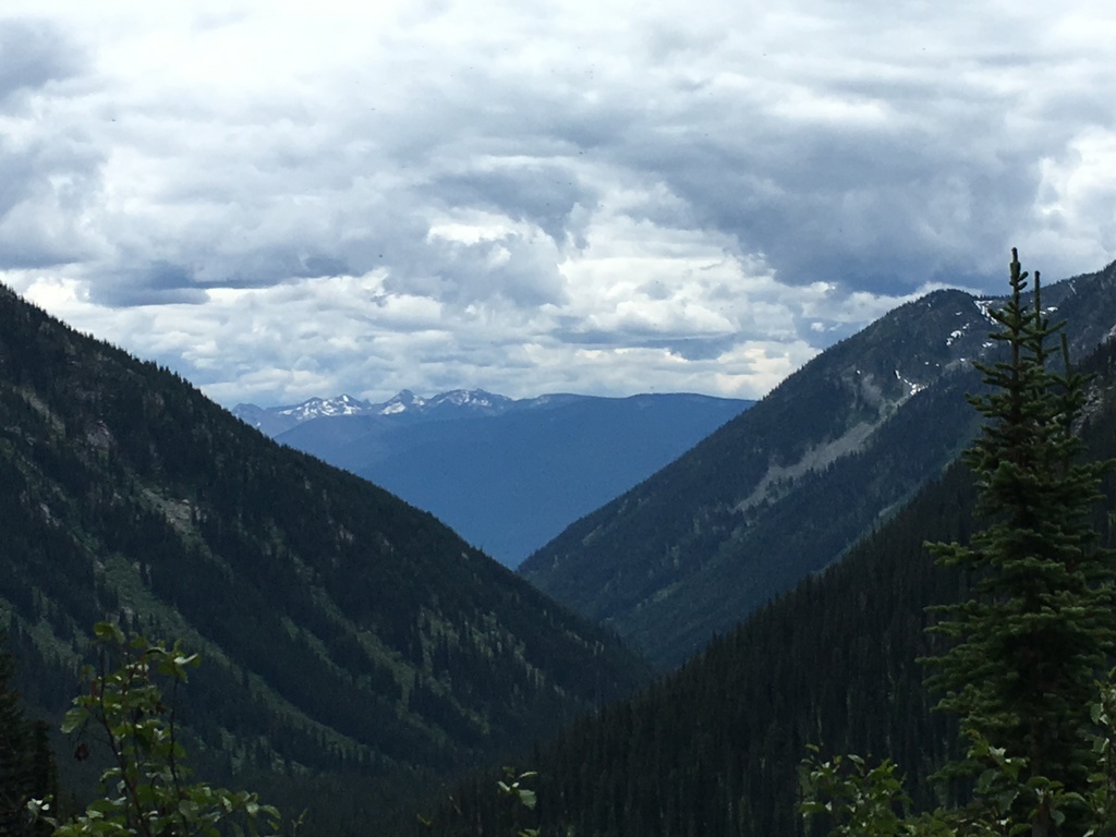View from one of our summer mountain hikes.