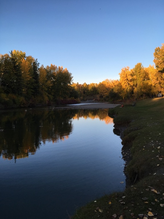 Autumn colours in October, 2017.  This is the park that is 50 meters from our home.