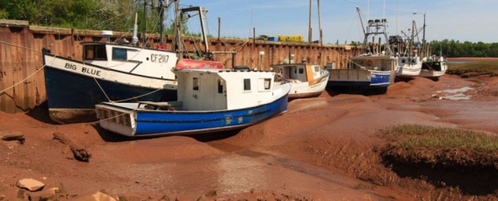 Bay of Fundy - highest tides in the world 