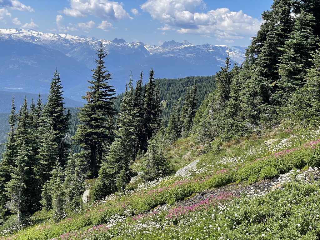 Whistler gondola hike - 90 minutes drive from our home.