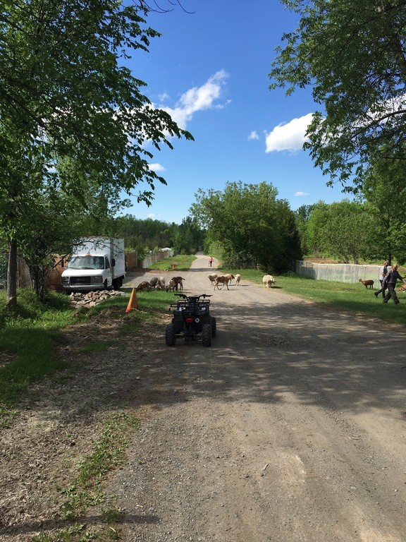 The fields nearby the house, nice place for a walk or for a bike ride.