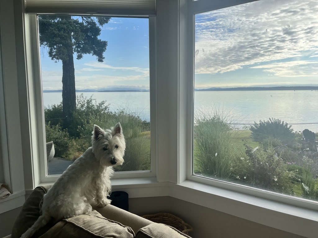 View from our family room