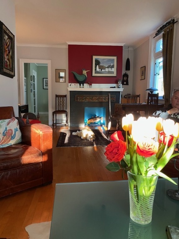 Our cat Baker relaxing at home in Toronto