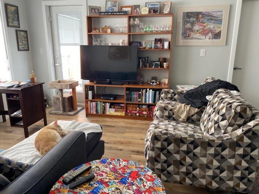 Living room and Arnold at work