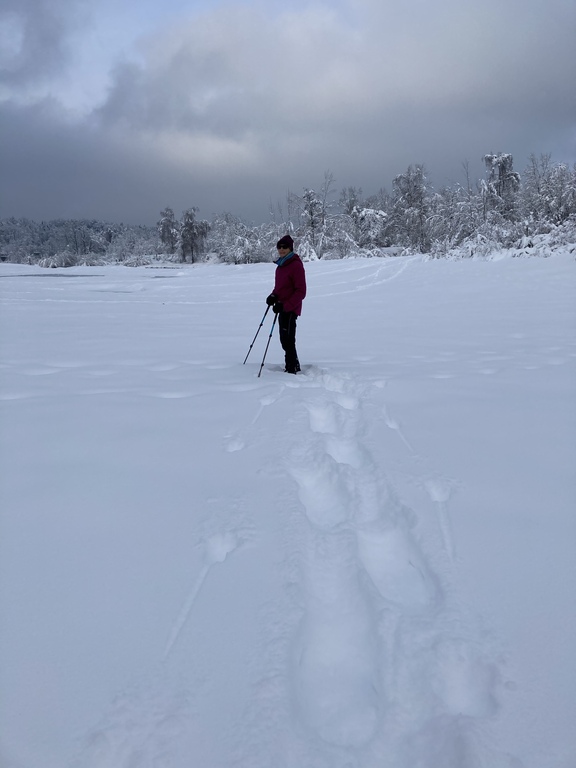 Wintersport vor der Haustüre - auf der Allmend - ist aber selten möglich!