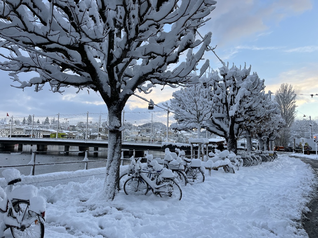Lucerne with snow 😀