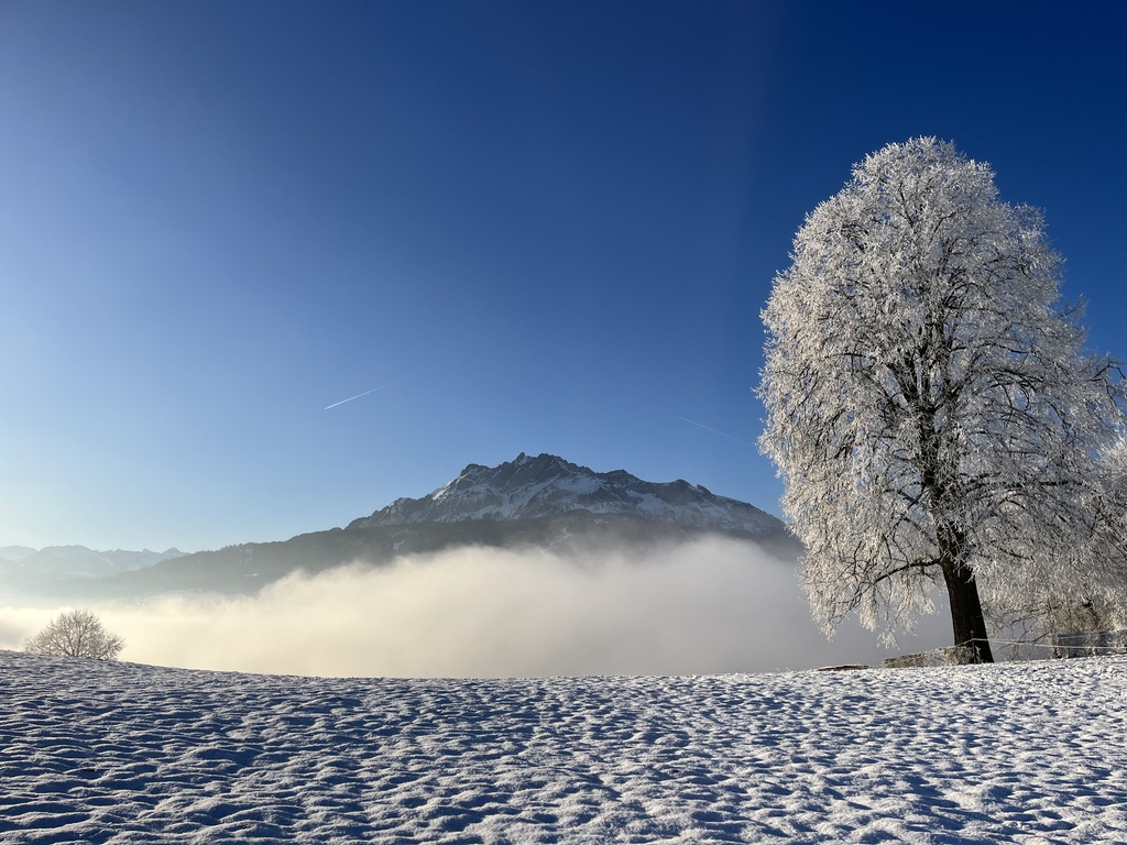 Mount Pilatus, seen from the Sonnenberg, wich you can reach in a one hour walk.