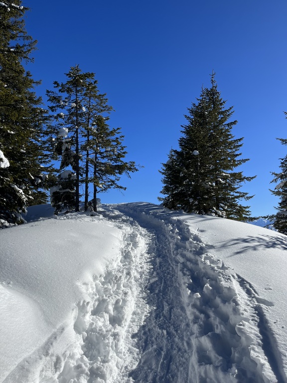 Many opportunities for snowshoeing