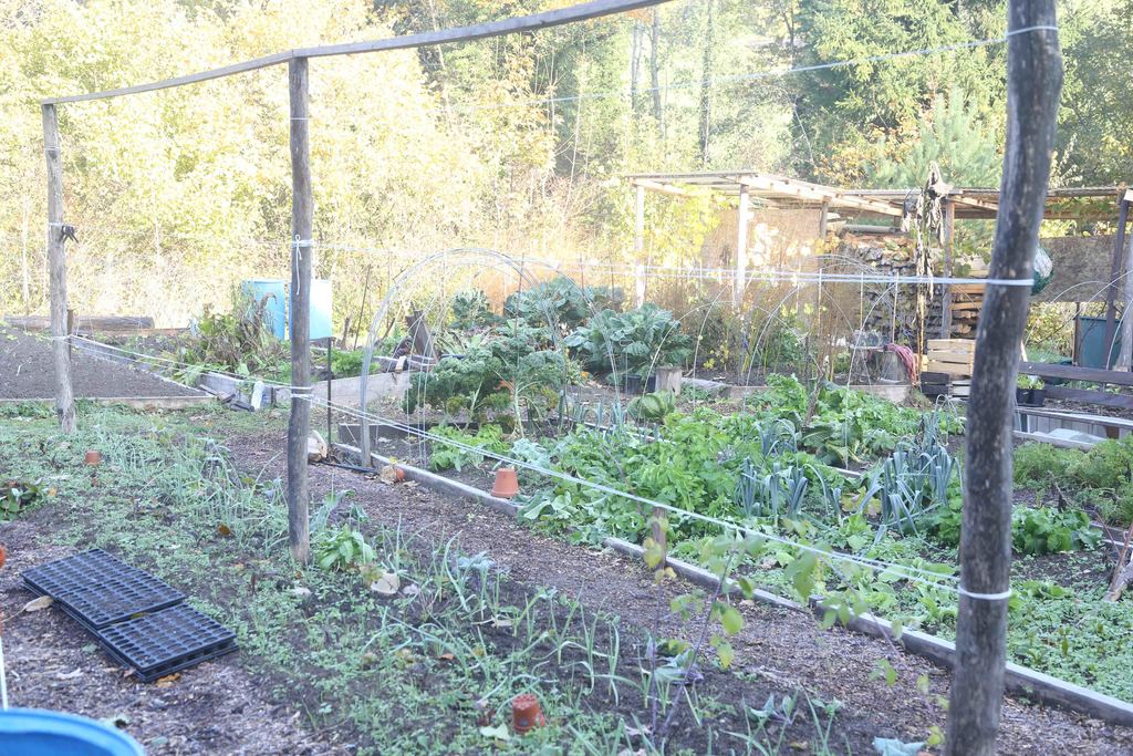 Der grosse Garten ist Xaver's Leidenschaft, Jacqueline freut sich jeweils am Ernten