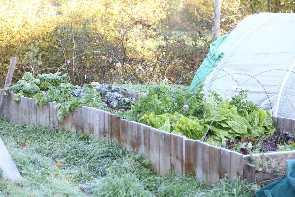 Der grosse Garten ist Xaver's Leidenschaft, Jacqueline freut sich jeweils am Ernten