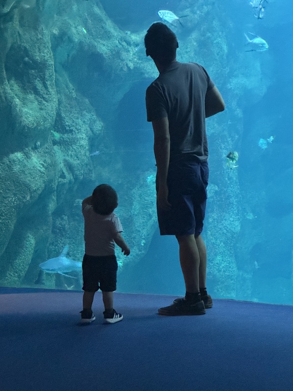 Our little one loves all sorts of animals. Keeps him occupied for hours!