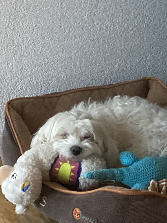 Let’s say she isn’t the most active family member…