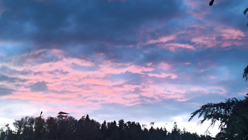 View from living room window