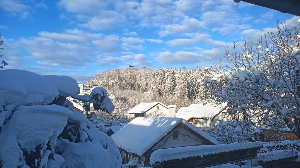 View from living room window