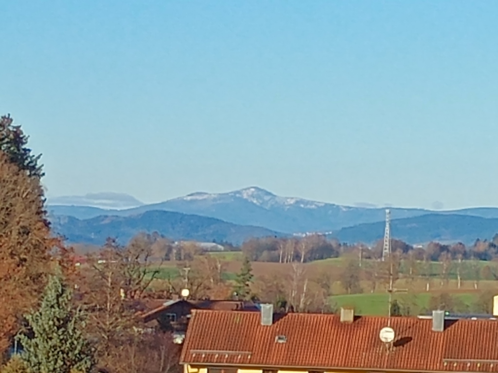 View from kitchen window