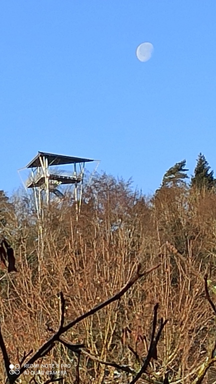 View from living room window