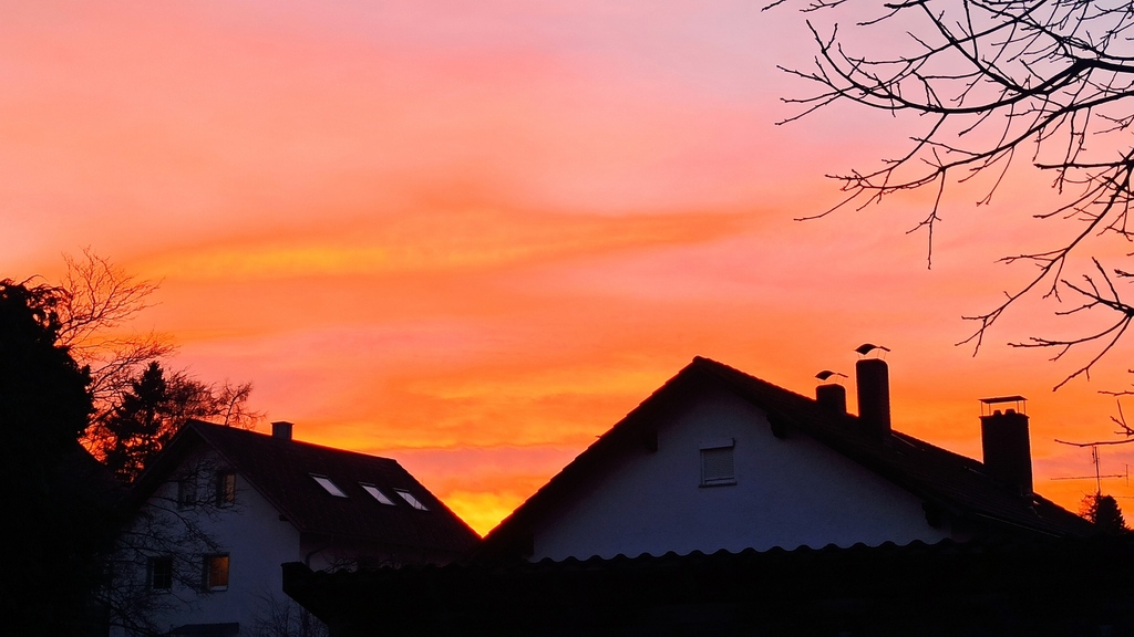 View from living room window