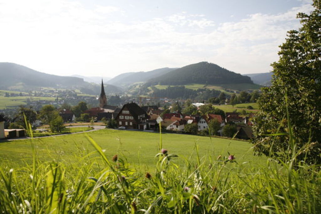 Baiersbronn, 1h15 min, home to excellent restaurants with star cuisine