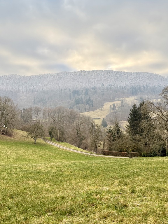 view over the limmat valley