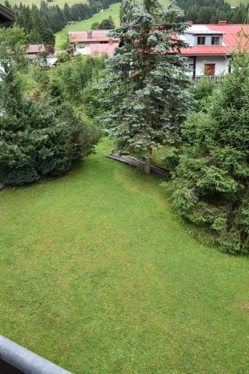 Garden at the back of the house, view from balcony