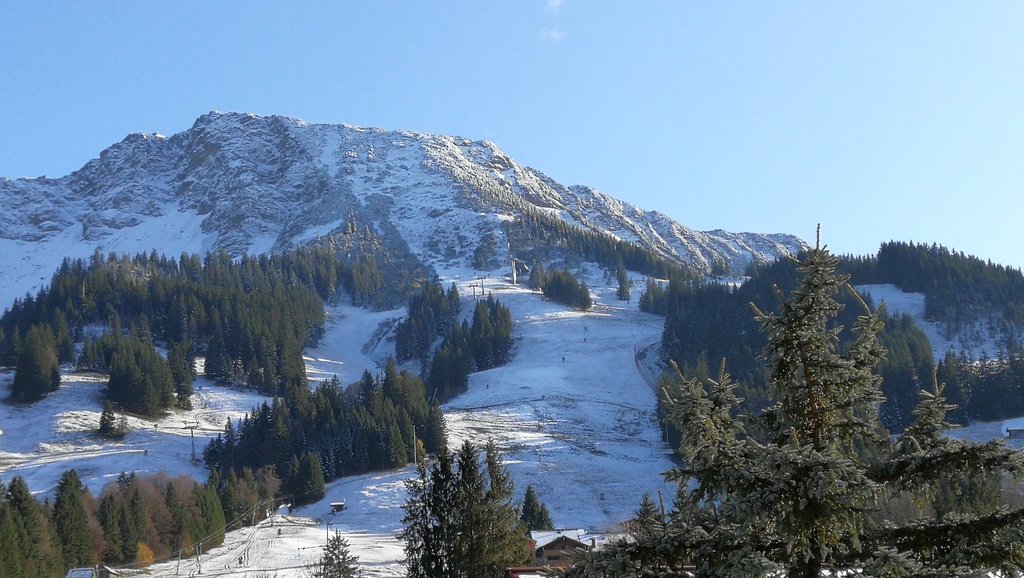 sunny day in november