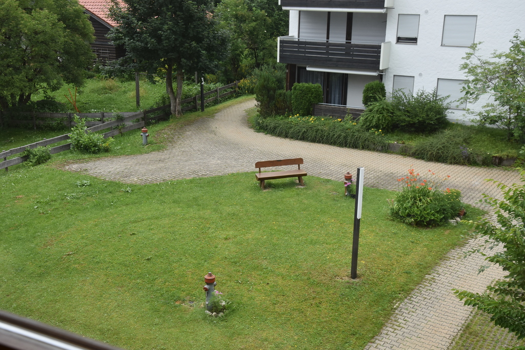 Garden in  front of the house