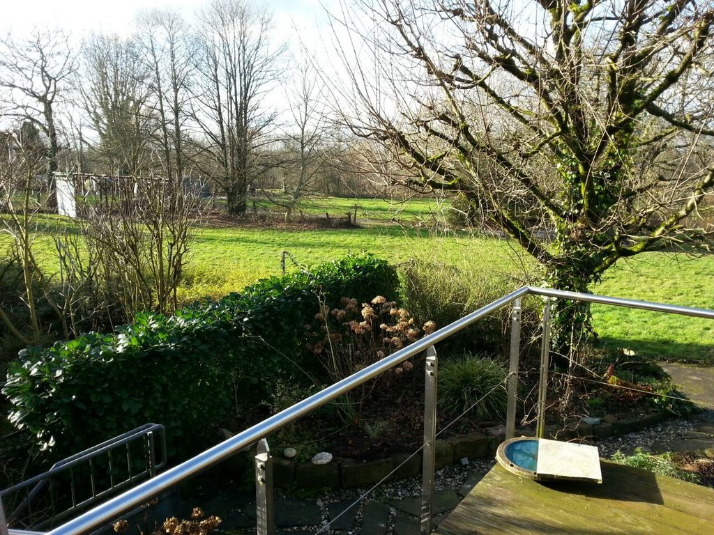 behind the house in winter