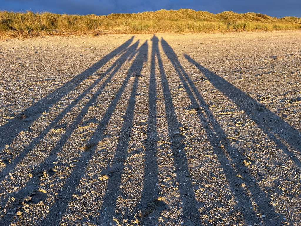 When the sun goes down...